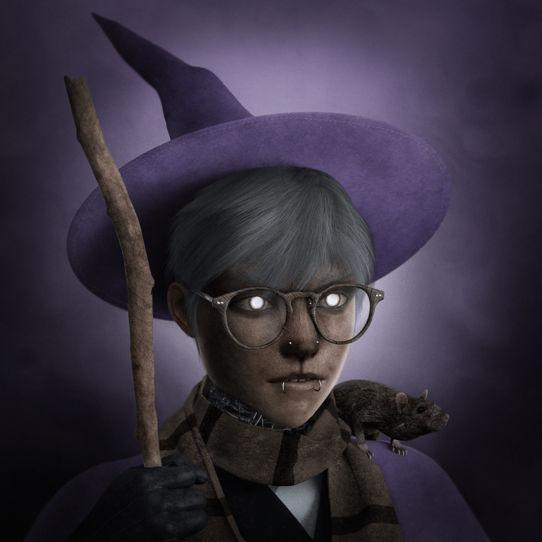 wizard/witch twelve